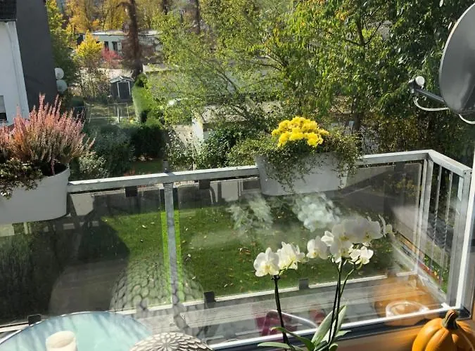 Perla * Limburg an der Lahn